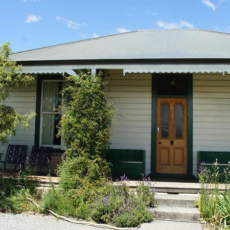 Pinedale Lodge & Apartment Methven Kültér fotó
