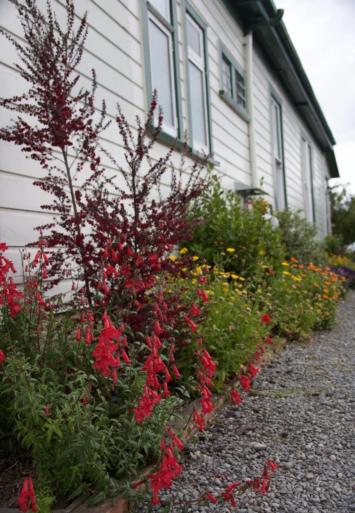 Pinedale Lodge & Apartment Methven Kültér fotó